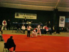 gal/Galerie 3/Sous-galerie 1/_thb_SANY0053.JPG